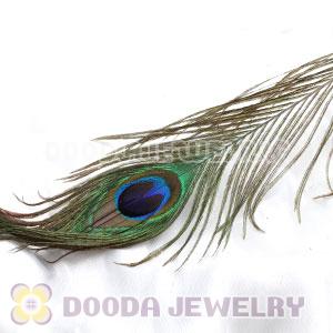 Real Natural Peacock Tail Eye Feather Hair Extension Wholesale