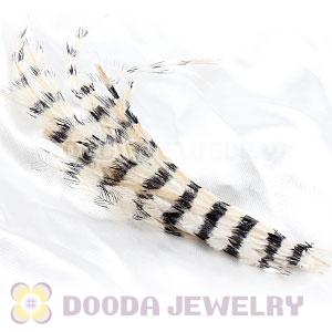 Ivory Thin Striped Grizzly Bird Feather Hair Extension Wholesale