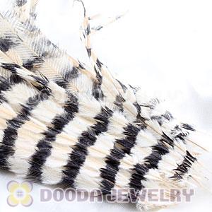 Ivory Thin Striped Grizzly Bird Feather Hair Extension Wholesale