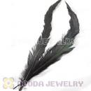 Natural Black Barred Plymouth Rock Rooster Feather Hair Extensions Wholesale