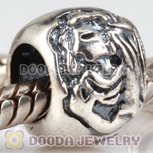 S925 Sterling Silver European Style Beads and Charms