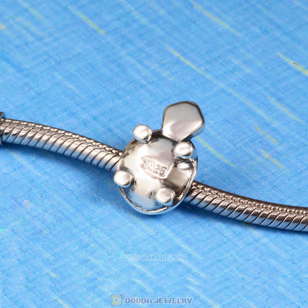 Bright Eyed Turtle Charm Clear CZ