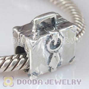 S925 Sterling Silver European Style Beads and Charms